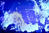 「Nobuaki Kaneko Showcase 2025 "Leave the negatives"」WOMB公演の様子。（Photo by Junji Hirose）