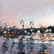 あたらよ「泡沫の夢は幻に」ジャケット