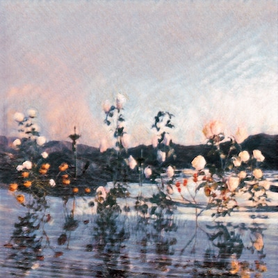 あたらよ「泡沫の夢は幻に」ジャケット