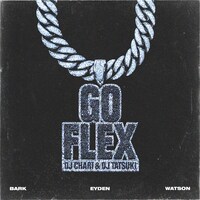DJ CHARI & DJ TATSUKI「GO FLEX」配信ジャケット