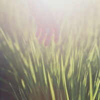 Hakubi「何者」配信ジャケット