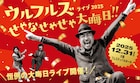 ウルフルズ、恒例の大晦日ライブを開催