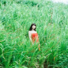 goethe「夢から覚めても」配信ジャケット