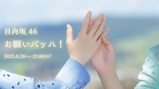 日向坂46「お願いバッハ！」ミュージックビデオのサムネイル。