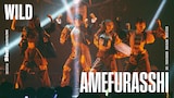 AMEFURASSHI