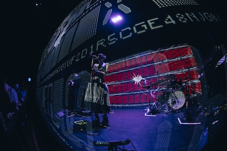 Widescreen Baroque(撮影:横山マサト)