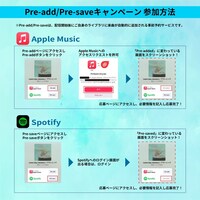 Laura day romance「プラトニック」Pre-add / Pre-saveキャンペーン告知画像