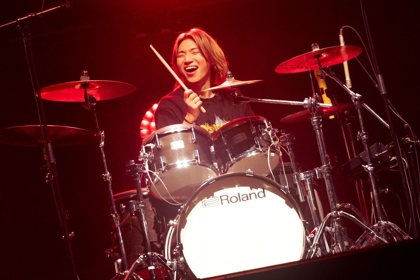 D-LITE