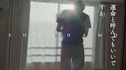SHISHAMO新曲MVに青木柚、何気ない日常を一緒に過ごすパートナー目線の映像