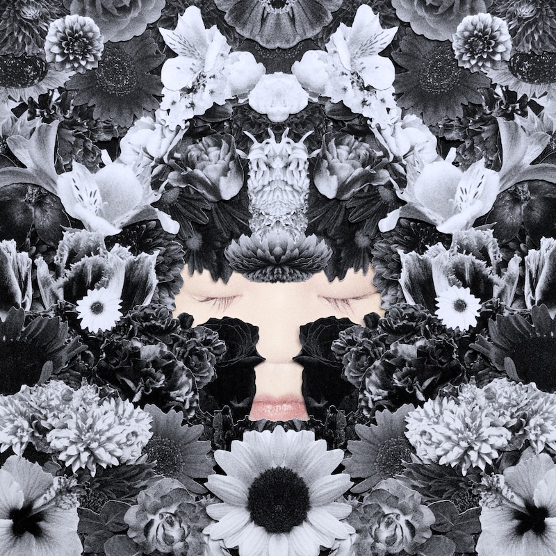 チャラン・ポ・ランタン「Mito」ジャケット