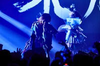 スタンド・バイ・ミーア（Photo by KentaKUMEI）