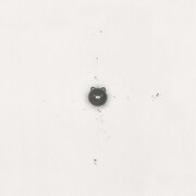 カネコアヤノ「石の糸 ひとりでに」ジャケット