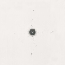 カネコアヤノ「石の糸 ひとりでに」ジャケット