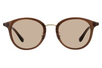 「サンカットグラス ZN251G24_43A1 Boston x Brown」