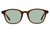 「サンカットグラス ZA241G66_43A2 Wellington×Green」