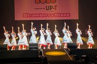 かすみ草とステラ