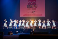 かすみ草とステラ