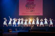 かすみ草とステラ