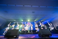 可憐なアイボリー