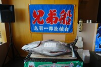 宮城・塩釜で水揚げされた102kgの本マグロ。