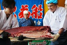 鳥羽一郎のマグロ解体ショー