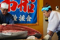 マグロ解体中の鳥羽一郎と板前。