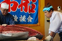 マグロ解体中の鳥羽一郎と板前。