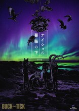 BUCK∞TICK「ナイショの薔薇の下 2024」通常盤Blu-rayジャケット