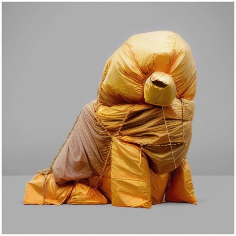 蓮沼執太チーム「TEAM」ジャケット（Artwork 00740 by SERRAGLIA, courtesy of the Artist and Galleria Heino［Helsinki］）