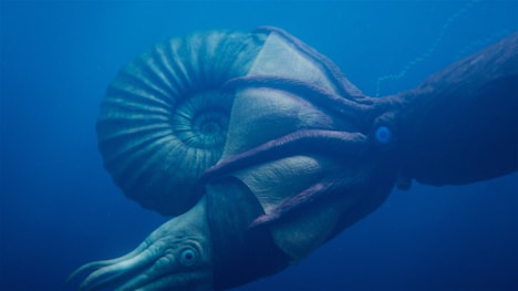 「超恐竜3」より「巨大コウモリダコが巨大アンモナイトを襲う」。 ©NHK