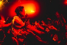 京（Vo / Petit Brabancon）