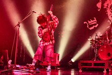 ミヤ（G / Petit Brabancon）