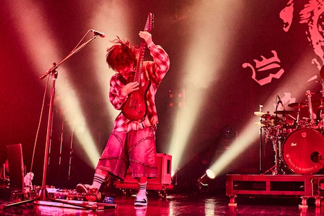 ミヤ（G / Petit Brabancon）