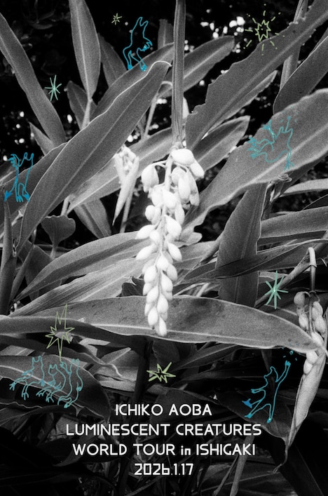 青葉市子「Luminescent Creatures World Tour in ISHIGAKI」フライヤー
