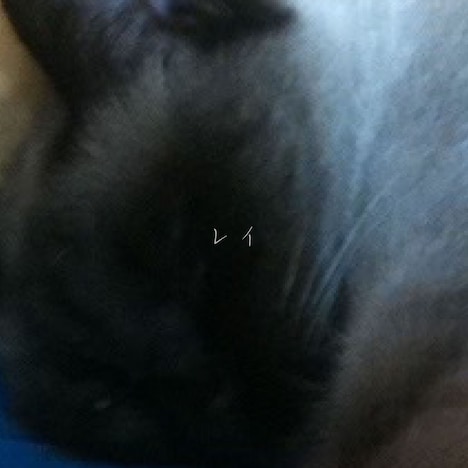 カラノア「レイ」配信ジャケット