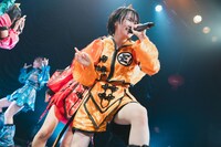 へそ（Photo by ike）