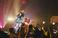 めあり（Photo by ike）