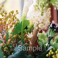 グソクムズ「SCRATCH」アザージャケット