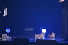 ATEEZからの救出を待つ柴犬のぬいぐるみたち。