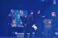 メンバーを妨害したりぬいぐるみを放り投げたりしながらゲームに挑むメンバー。