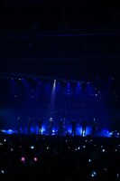 ショーケースの様子。