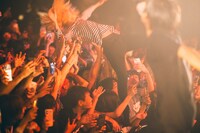 fogsettingsがダイブした場面。（撮影：宇都宮勝）