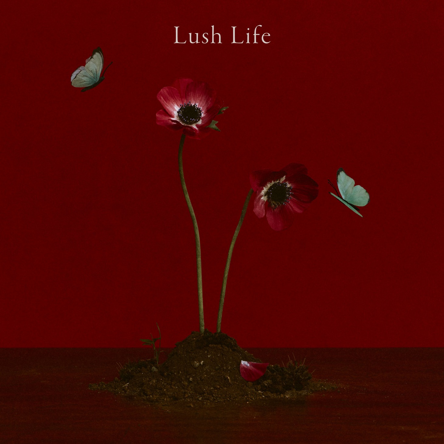 Chara「Lush Life」配信ジャケット