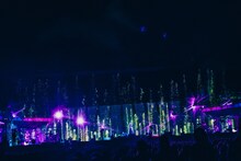 堂本剛「平安神宮 奉納演奏2025」の様子。（撮影：冨田味我）