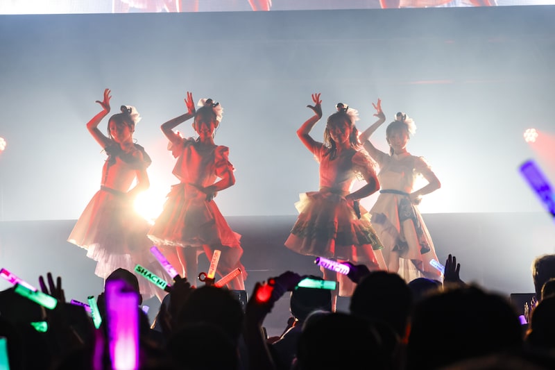 TEAM SHACHI（撮影：笹森健一）