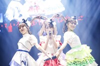 TEAM SHACHI（撮影：笹森健一）