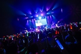 「TEAM SHACHI 最終SHOW~アイドルロード~:君のココロの伝説になりたい!」の様子。(撮影:笹森健一)