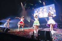 TEAM SHACHI（撮影：笹森健一）