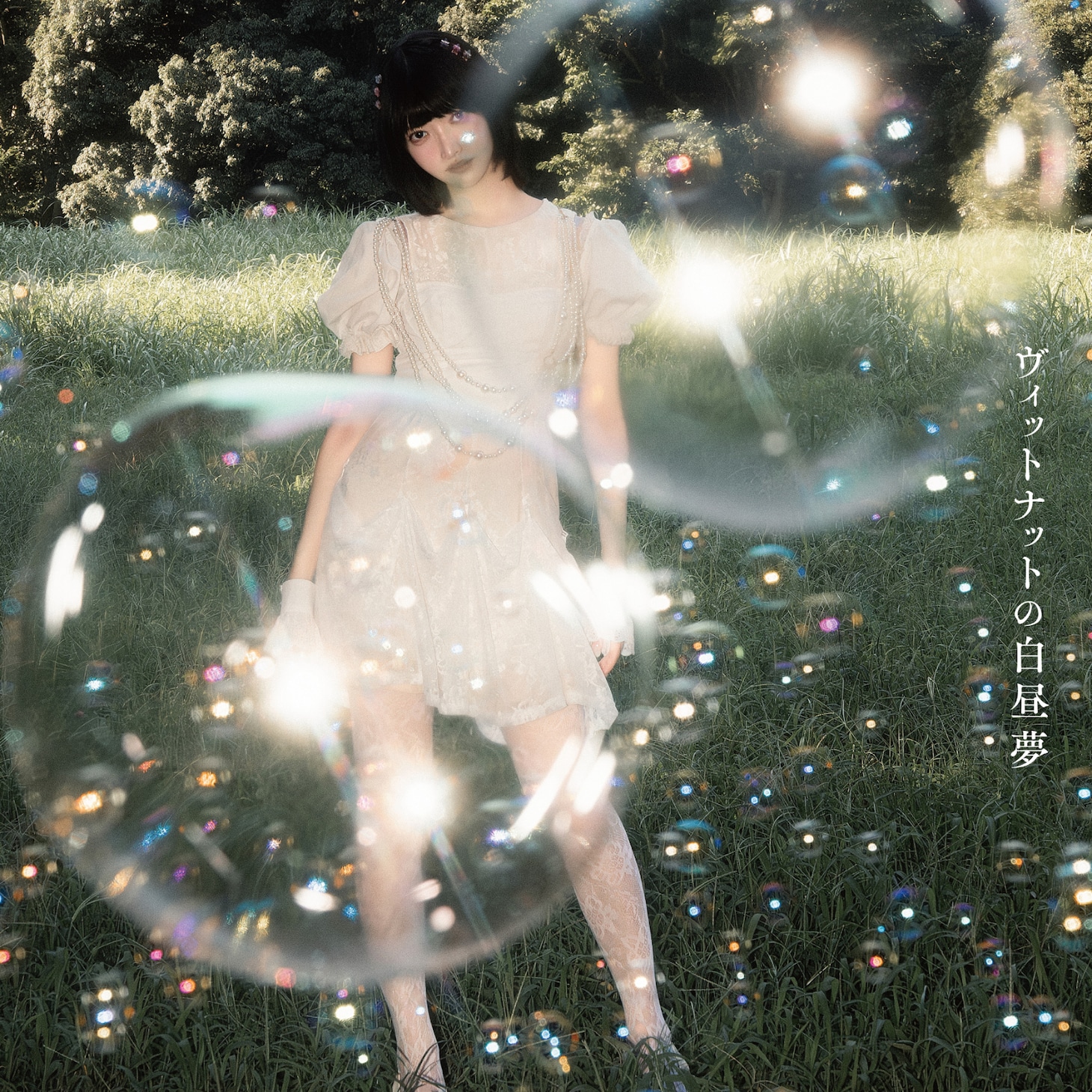 間宮まに「ヴィットナットの白昼夢」ジャケット