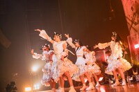 「Devil ANTHEM. ONE MAN LIVE『#でび夏霞演奏会2025』」の様子。（撮影：真島洸）